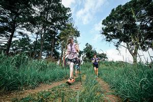 BIB: 
                            <button type="button" onclick="openModal(26039088)" class="btn btn-primary btn-sm float-right btn-popup" data-toggle="modal" data-target=".modal-high-quality">
                        <i class="fas fa-shopping-cart"></i> Add to Cart
                    </button>
                                            <button type="button" onclick="isThisMe(26039088, true)" class="btn btn-success btn-sm float-right btn-popup btn-isme hidden" data-toggle="tooltip" data-placement="bottom" title="นี่คือรูปของคุณใช่ไหม คลิกที่นี่เพื่อเอาเข้าอัลบั้ม">
                        <i class="fas fa-plus"></i> Add to album
                    </button>
                    <button type="button" onclick="isThisMe(26039088, false)" class="btn btn-warning btn-sm float-right btn-popup btn-isnotme hidden">
                        <i class="fas fa-ban"></i> Remove from album
                    </button>